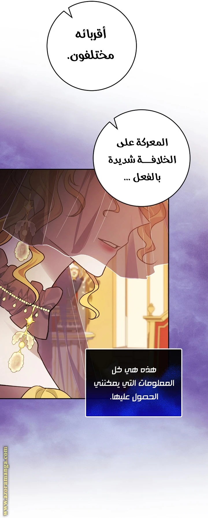 الصفحة 17