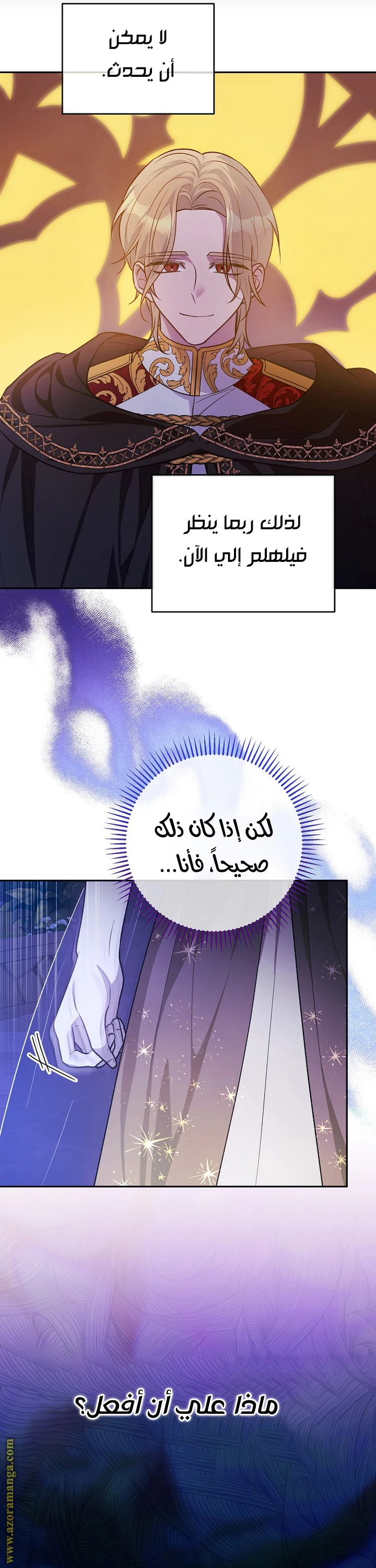 الصفحة 41
