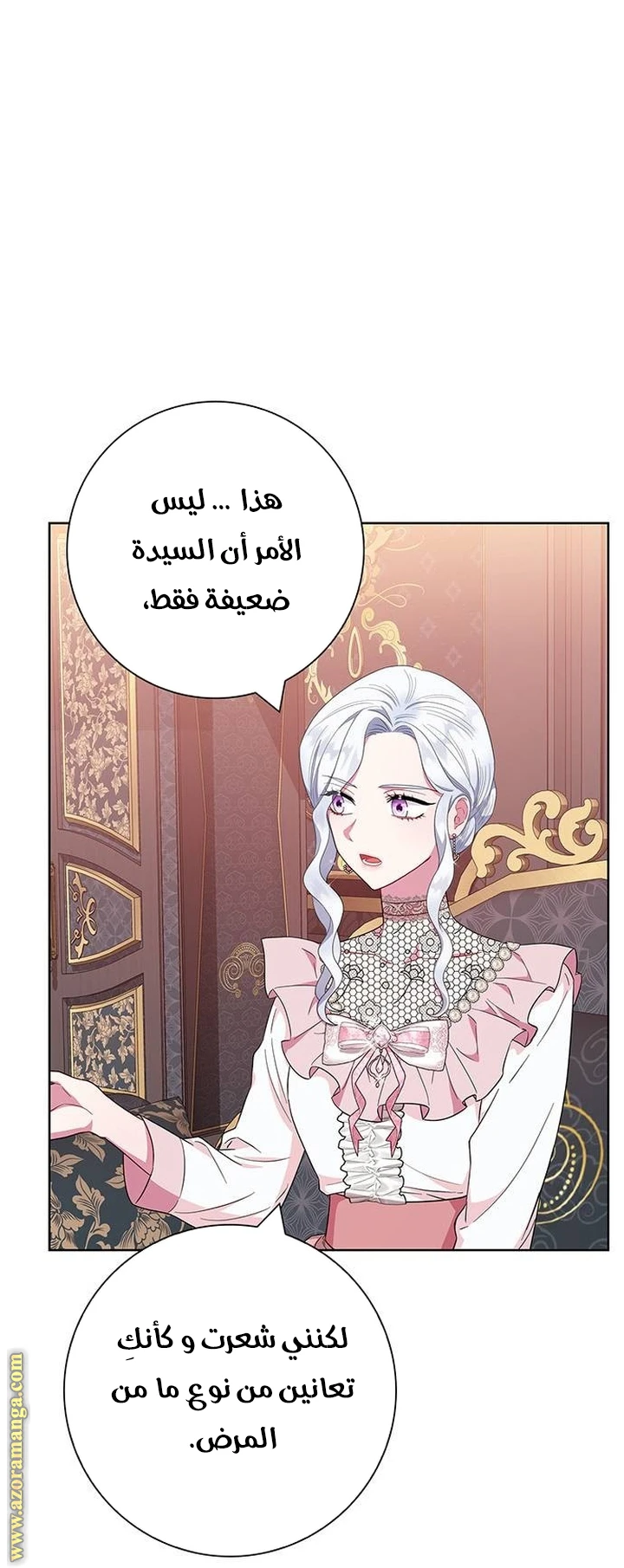 الصفحة 17