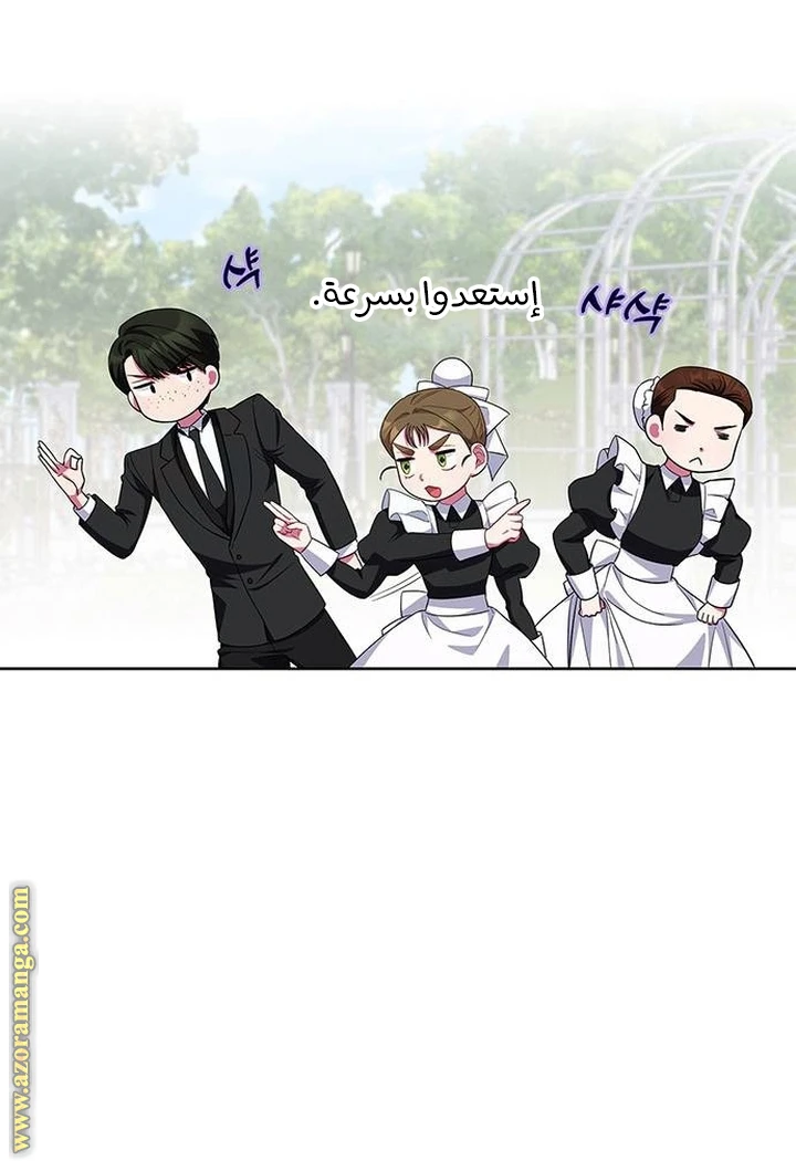 الصفحة 27