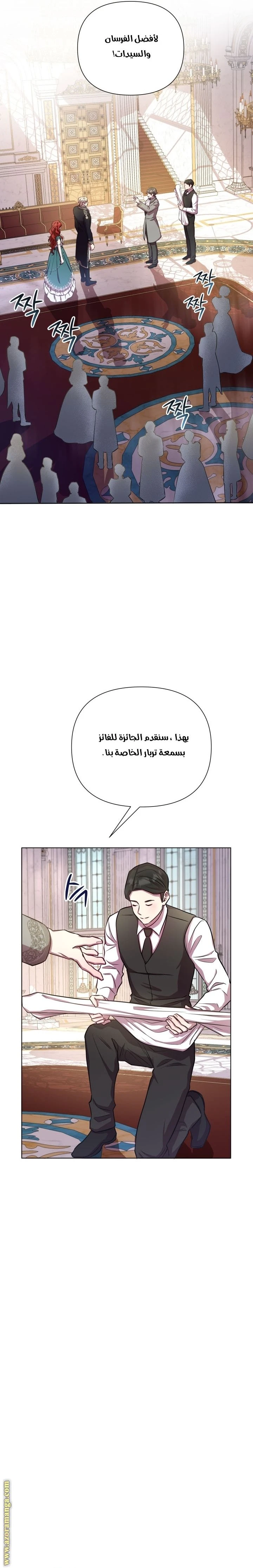 الصفحة 17