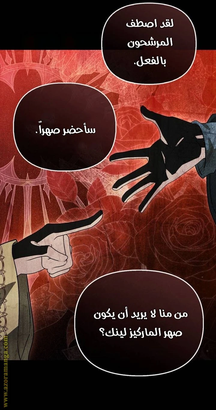 الصفحة 48