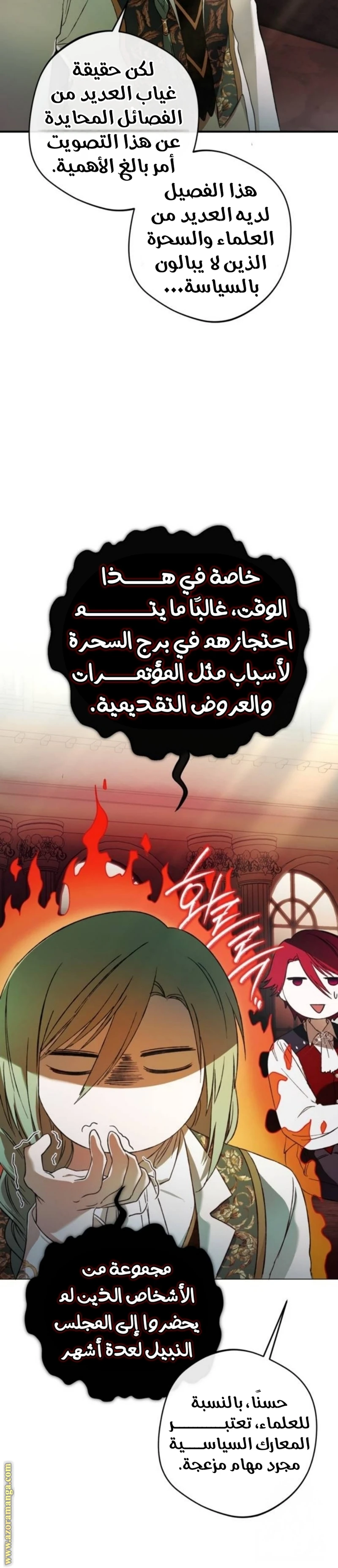 الصفحة 25