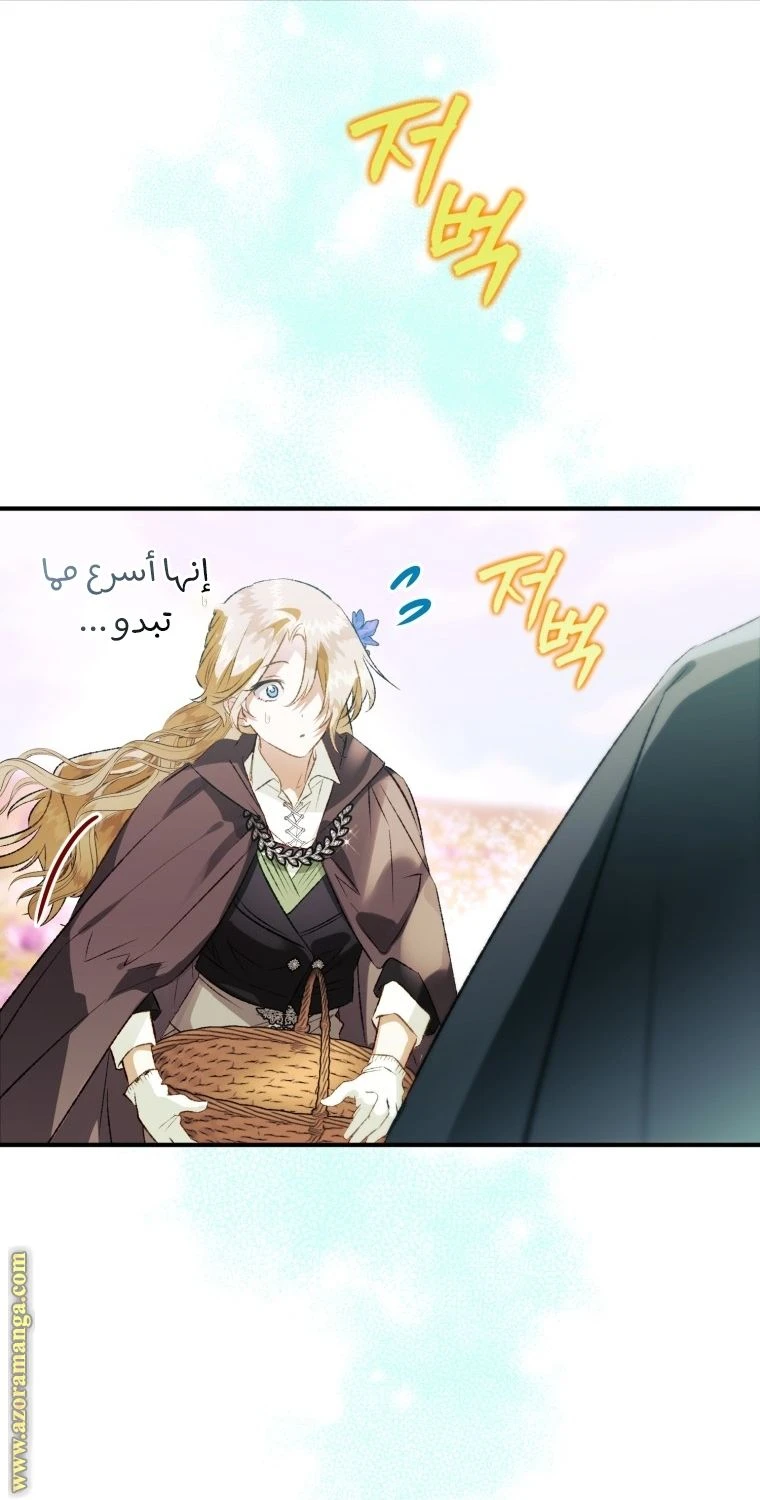الصفحة 25