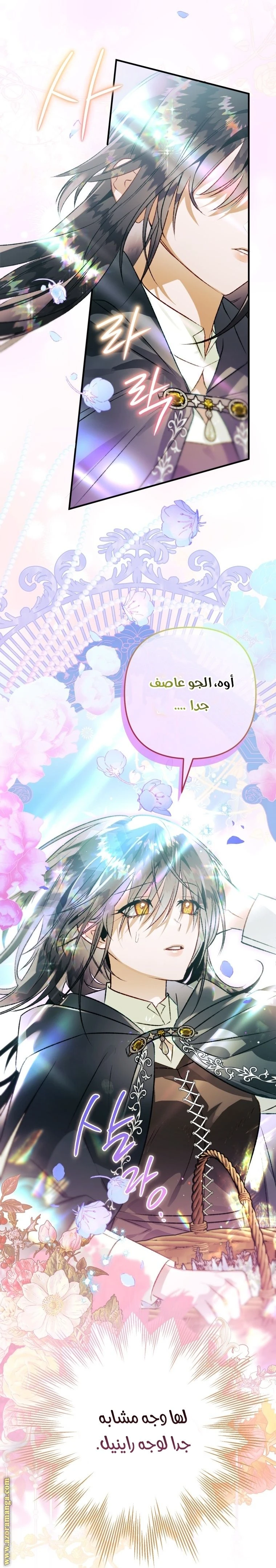 الصفحة 29