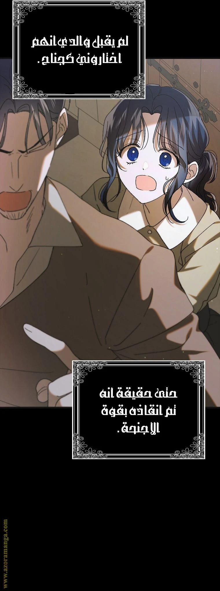 الصفحة 17