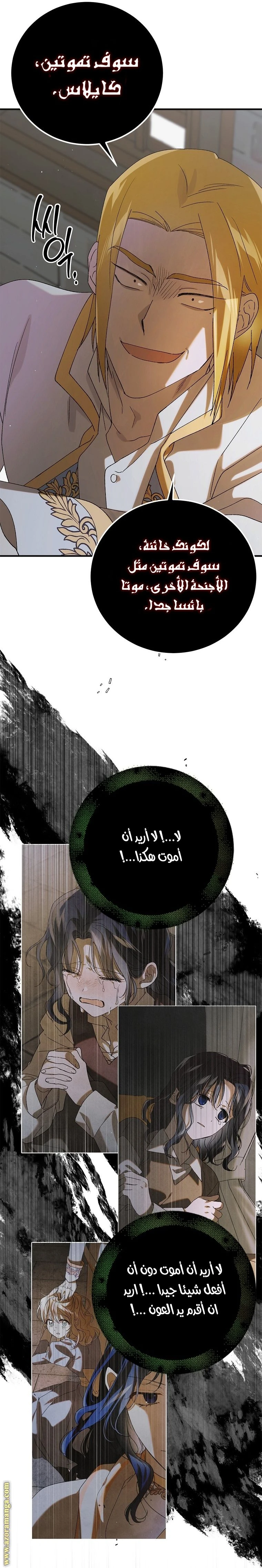 الصفحة 41