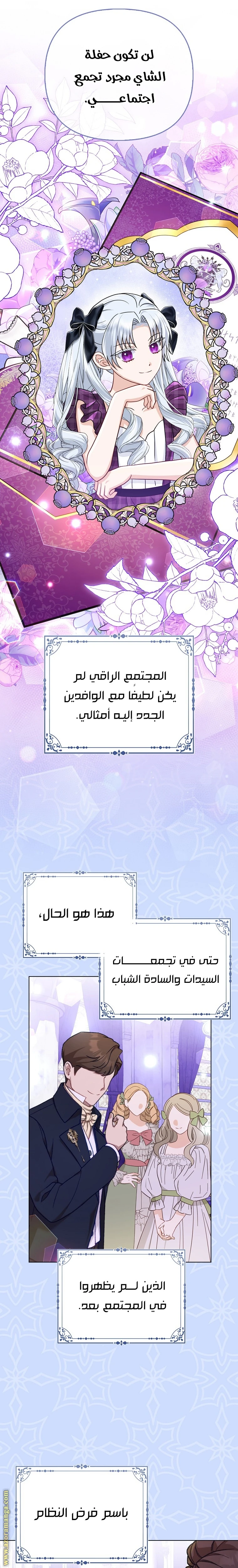 الصفحة 17