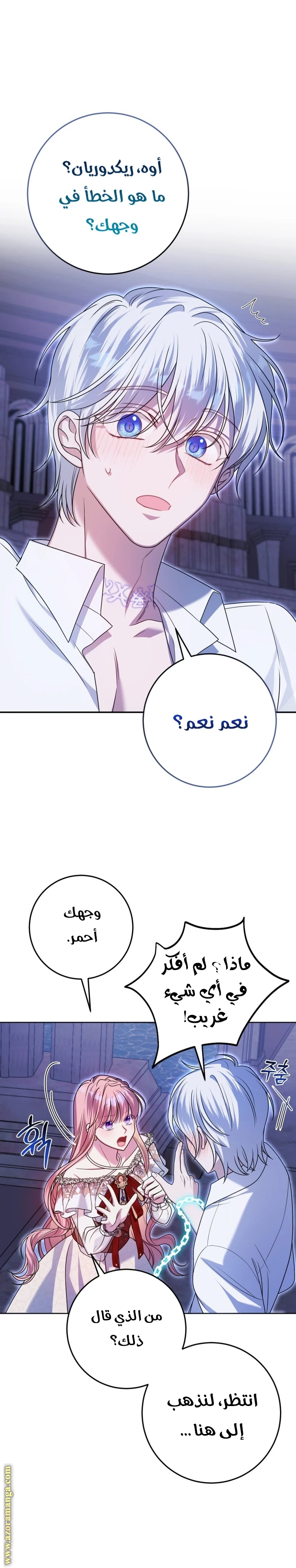 الصفحة 13