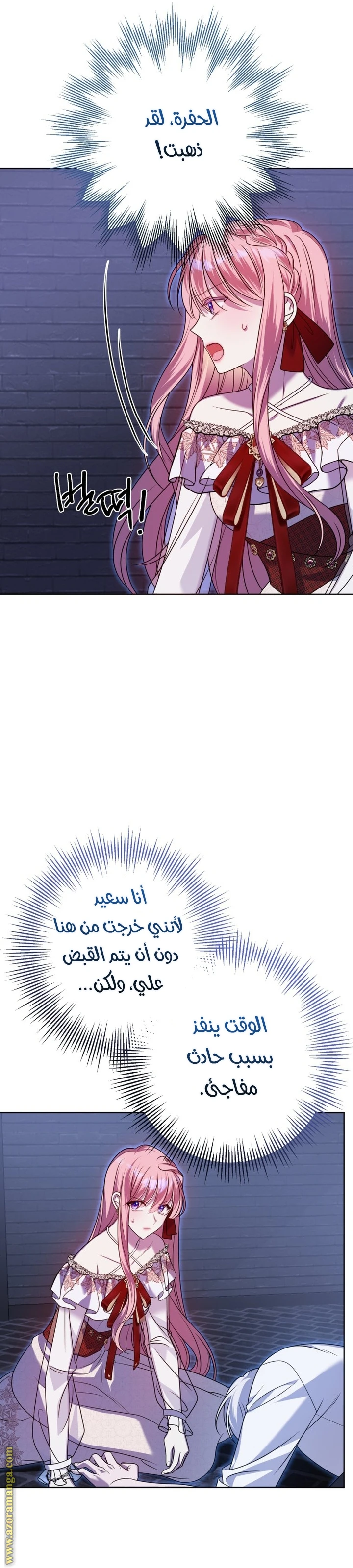 الصفحة 27