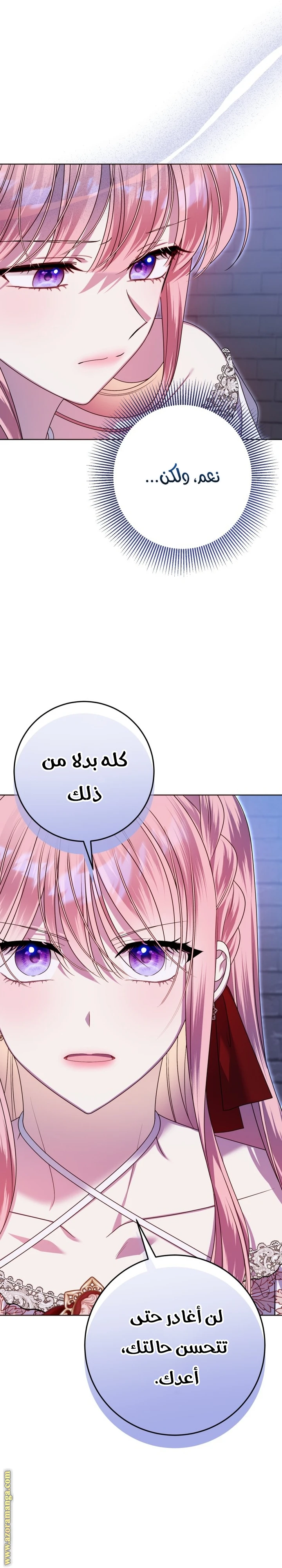 الصفحة 30