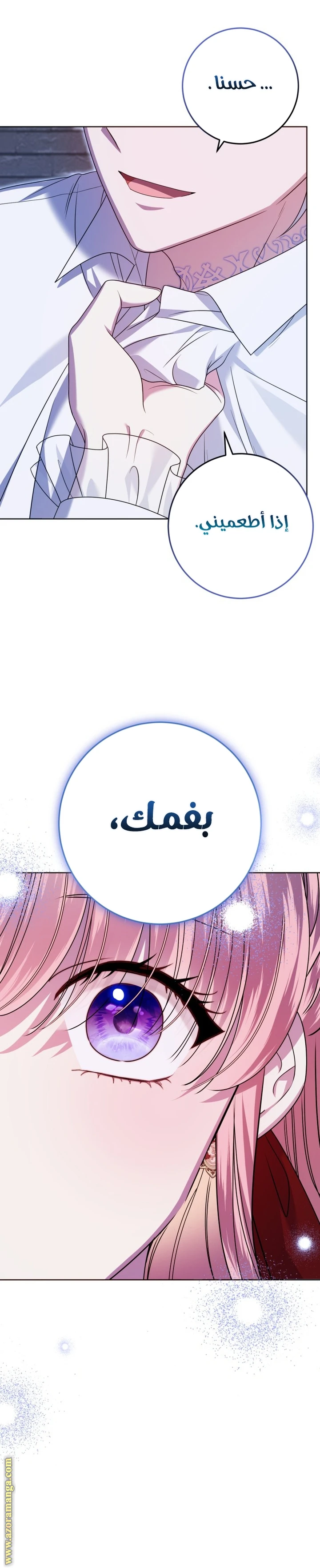 الصفحة 31