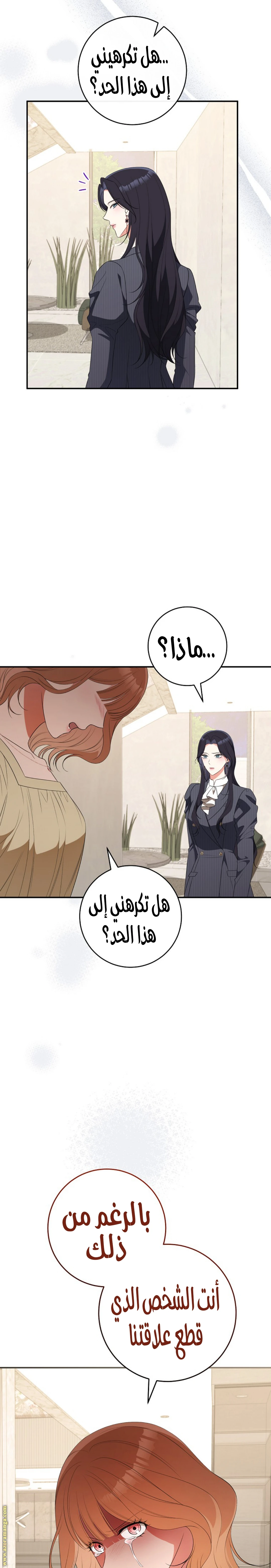 الصفحة 14