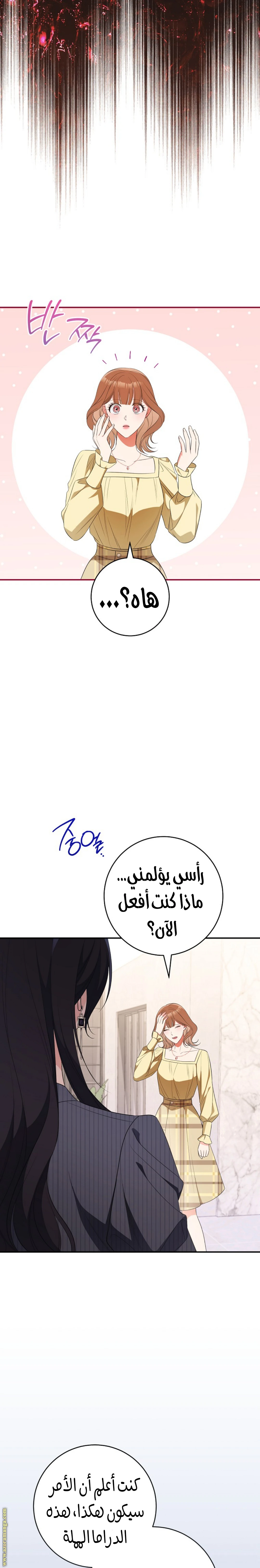 الصفحة 19