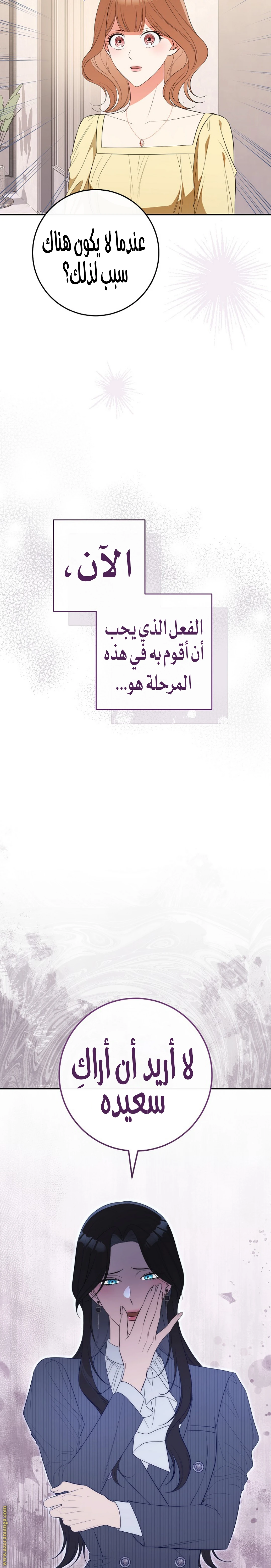 الصفحة 21