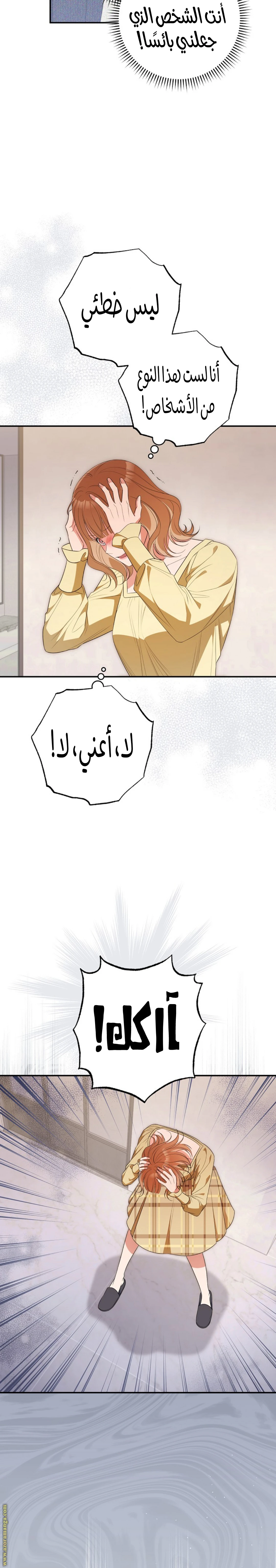 الصفحة 27