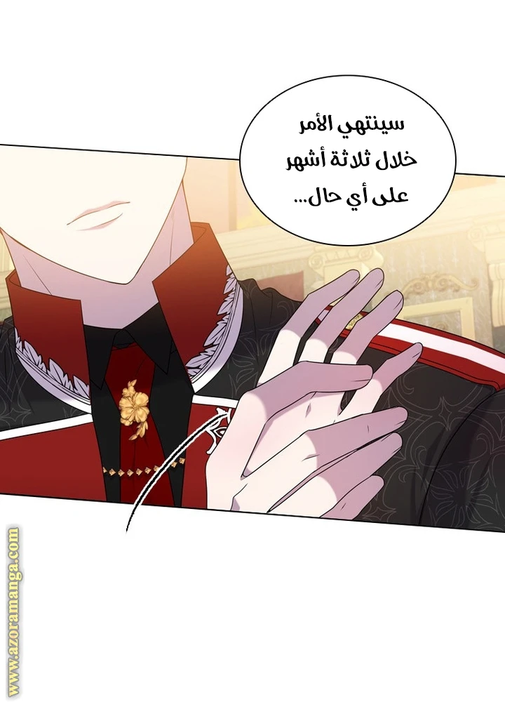 الصفحة 29