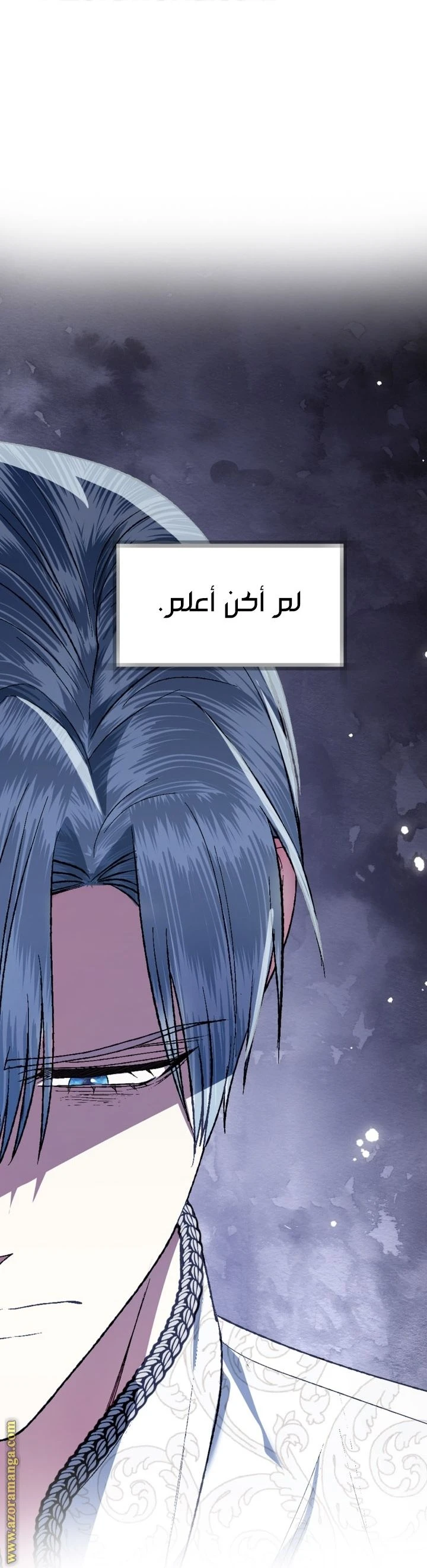 الصفحة 26