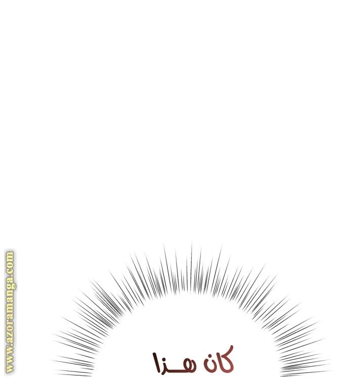 الصفحة 86