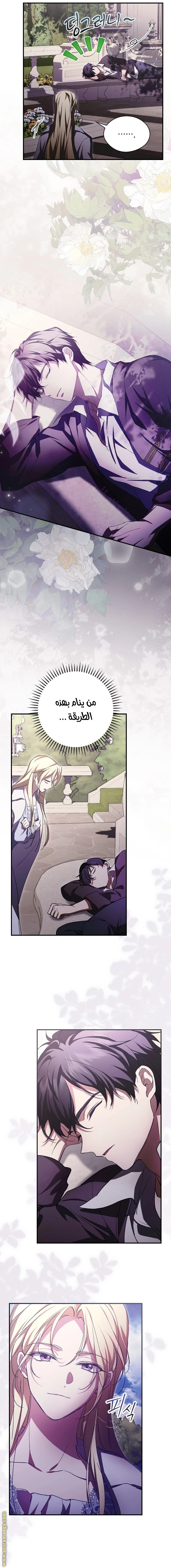 الصفحة 14