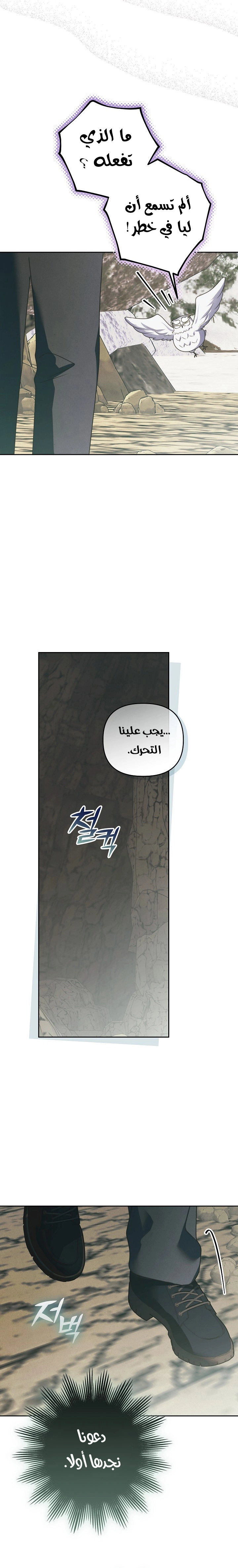 الصفحة 15