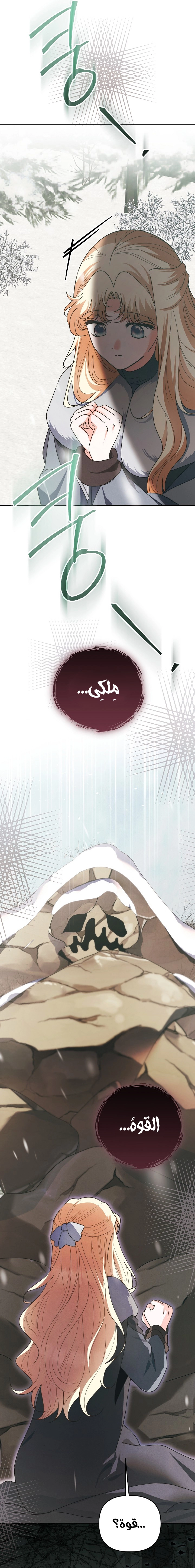 الصفحة 19