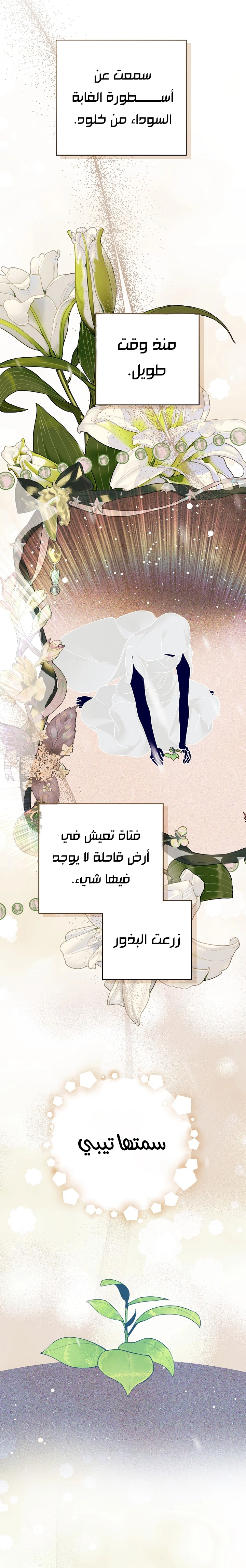 الصفحة 26