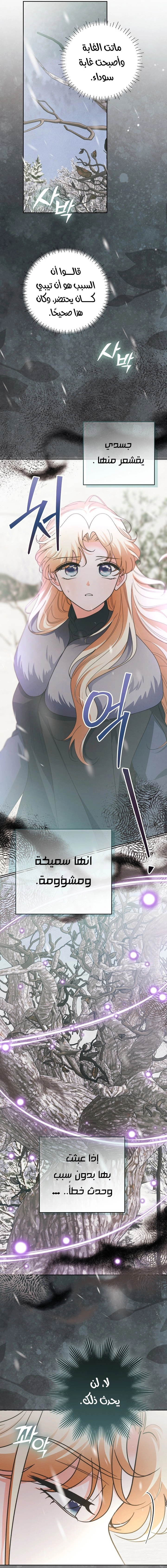 الصفحة 28