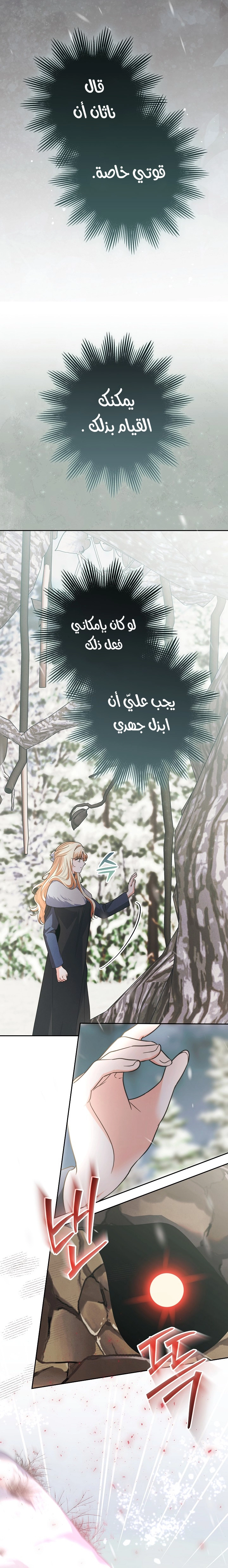 الصفحة 29
