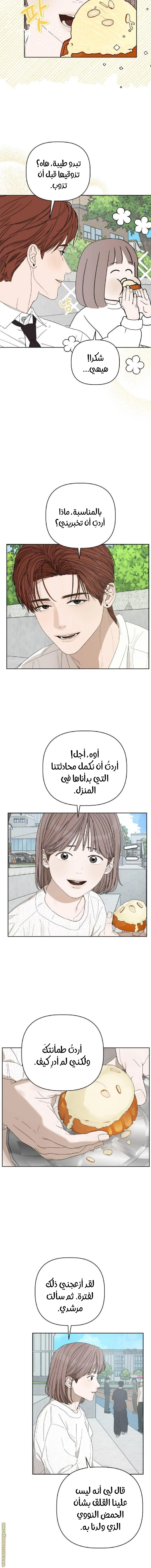 الصفحة 11