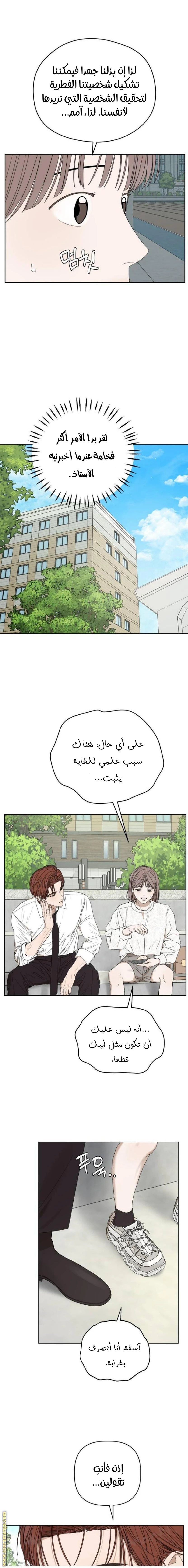 الصفحة 12