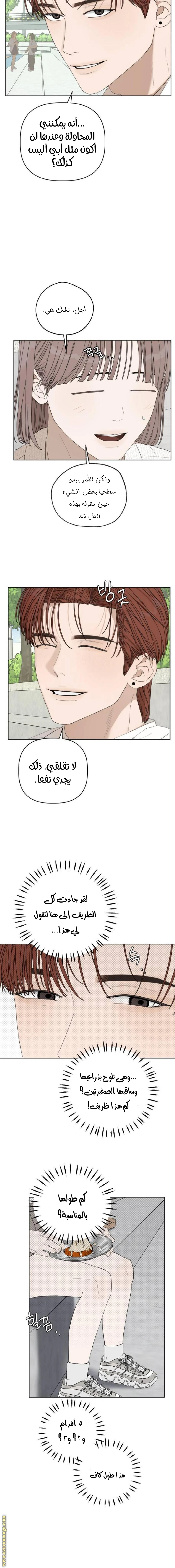 الصفحة 13