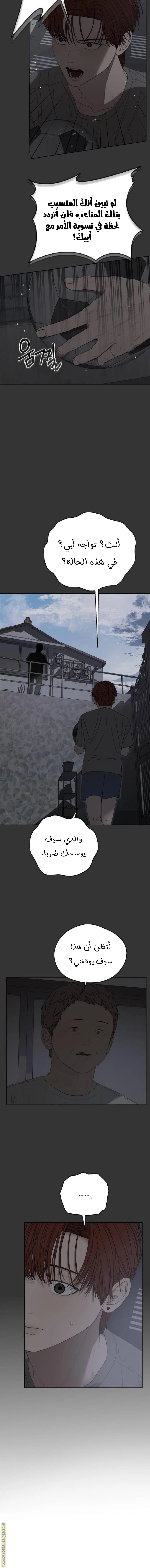 الصفحة 17