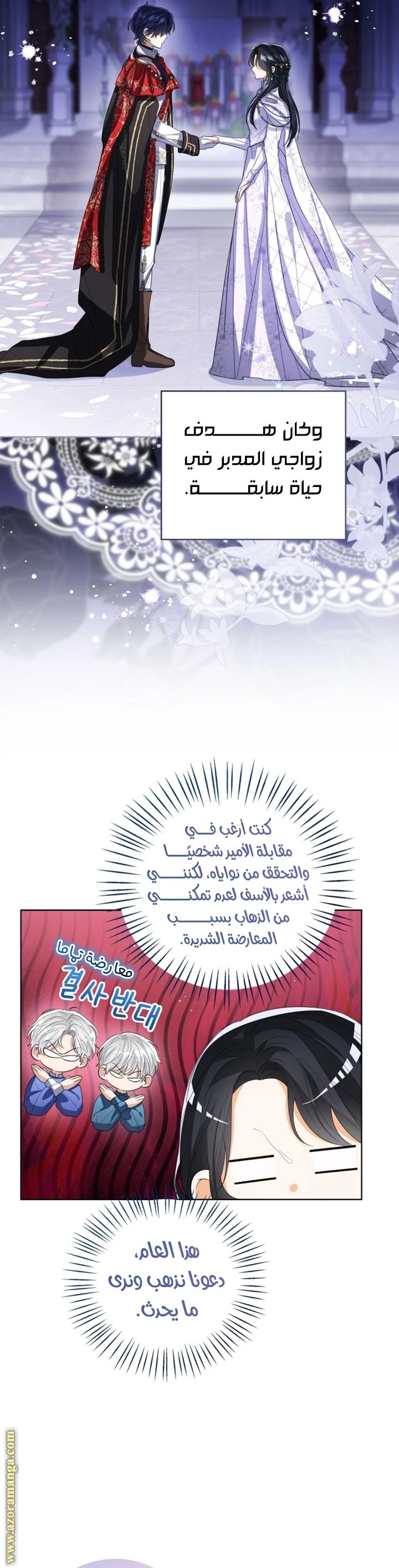 الصفحة 13
