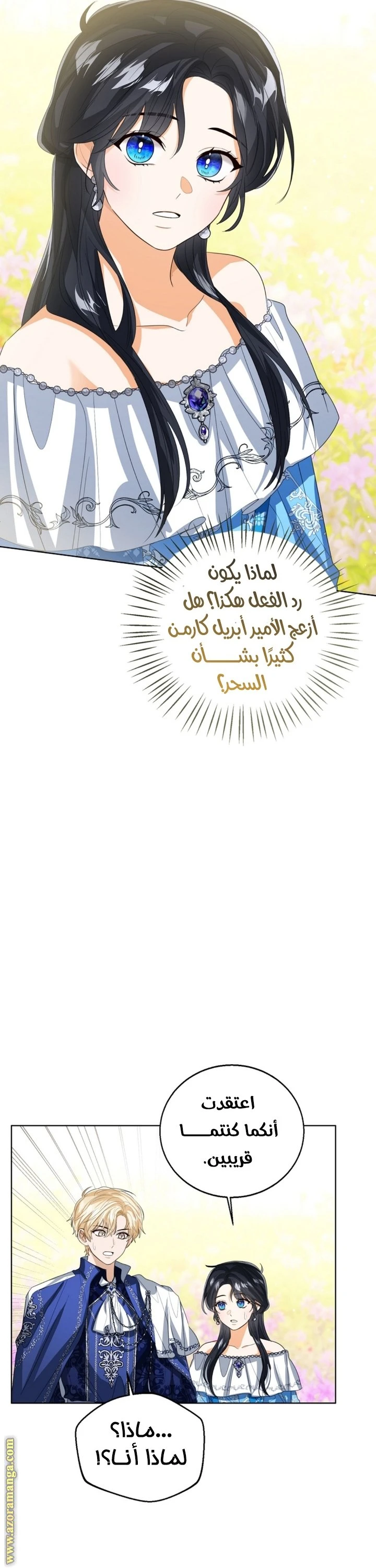 الصفحة 17