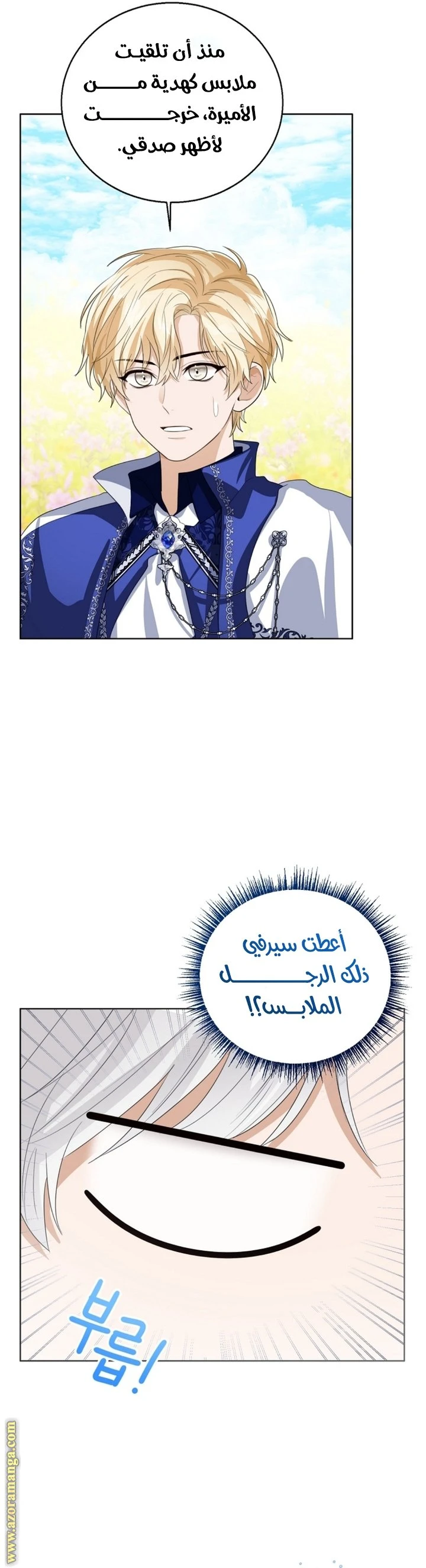الصفحة 25