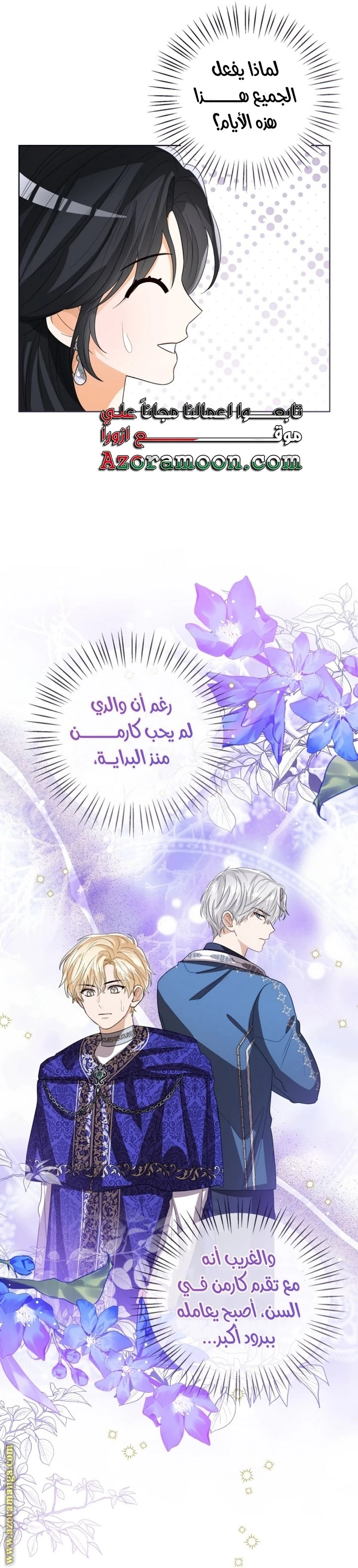 الصفحة 28