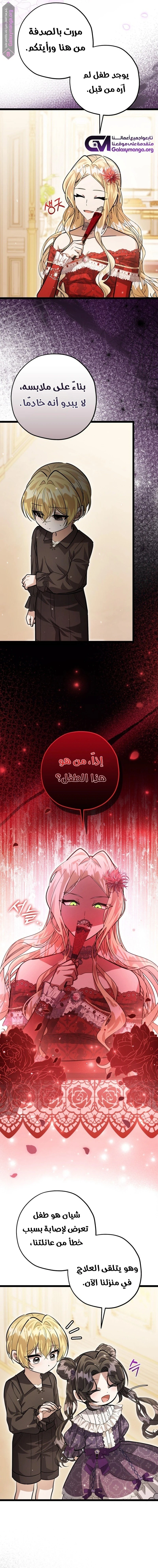 الصفحة 12