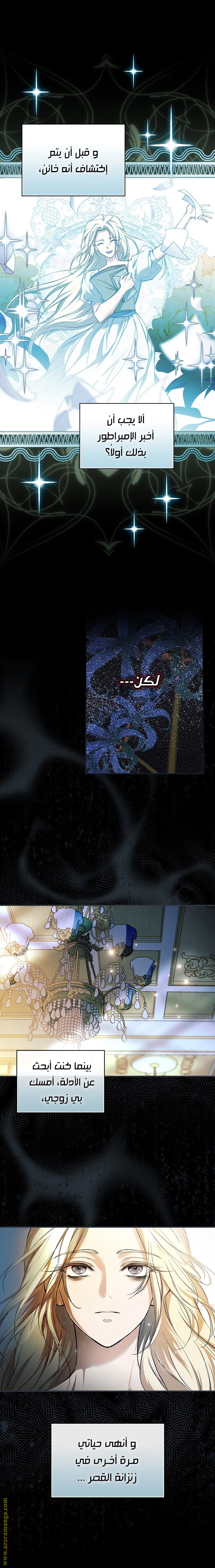 الصفحة 13