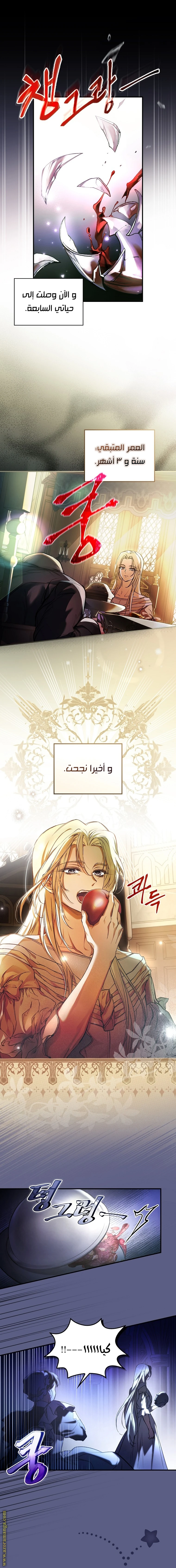 الصفحة 14