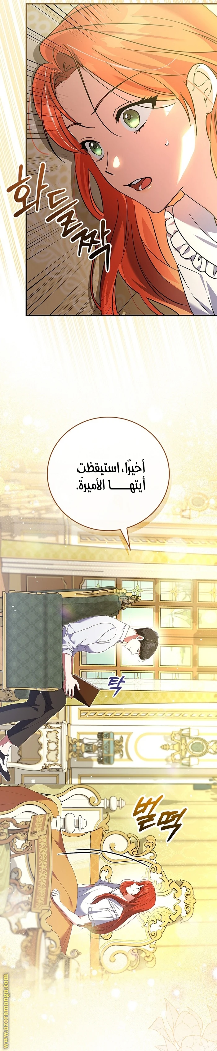 الصفحة 17
