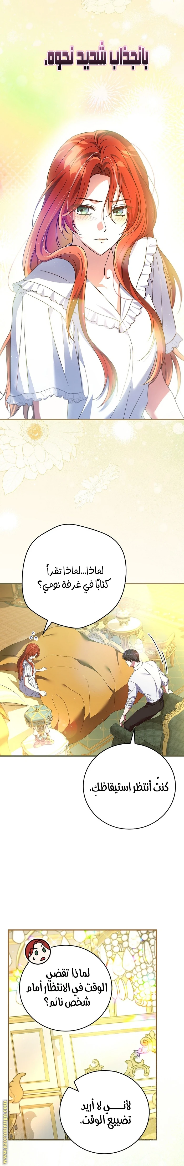 الصفحة 22