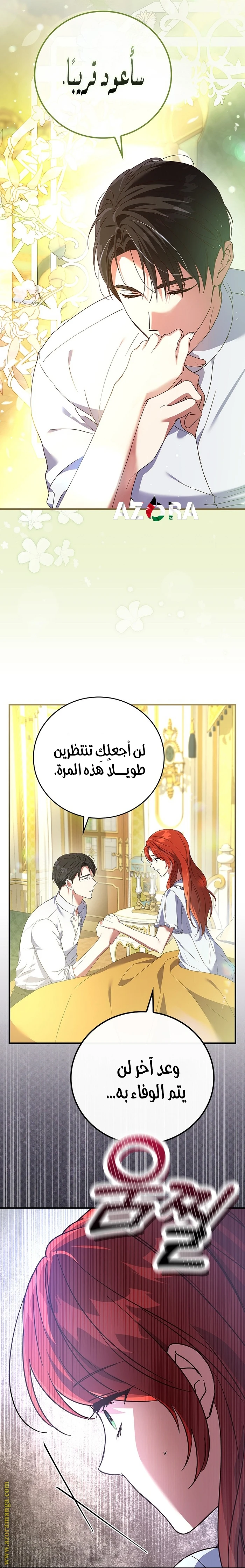 الصفحة 25