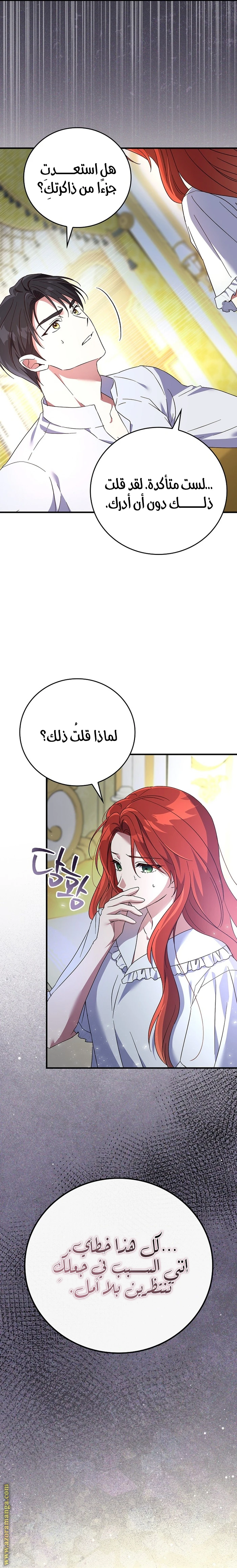 الصفحة 26