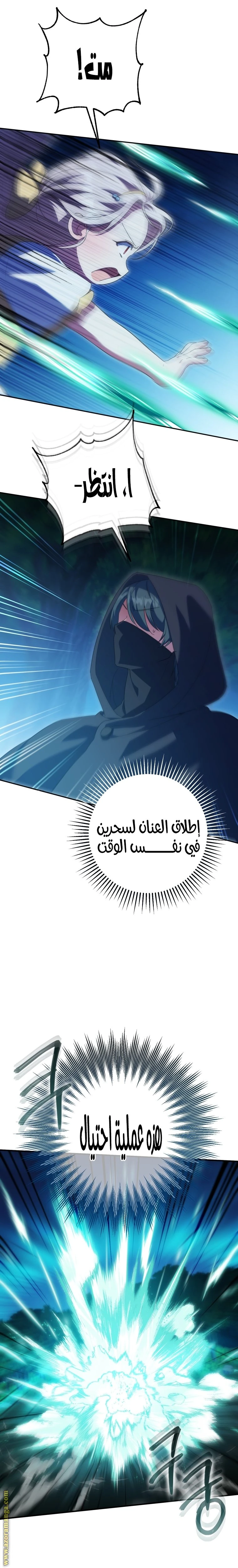 الصفحة 11