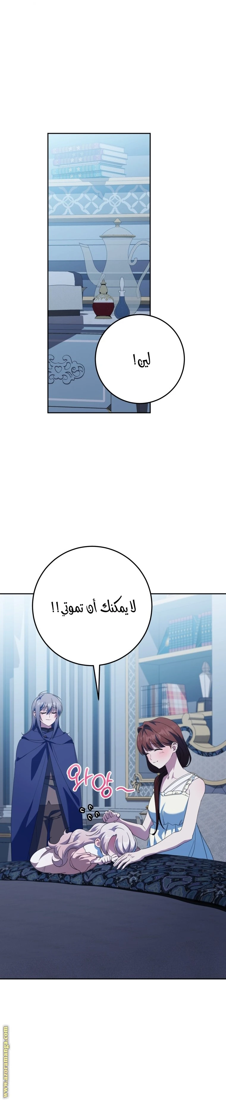 الصفحة 25
