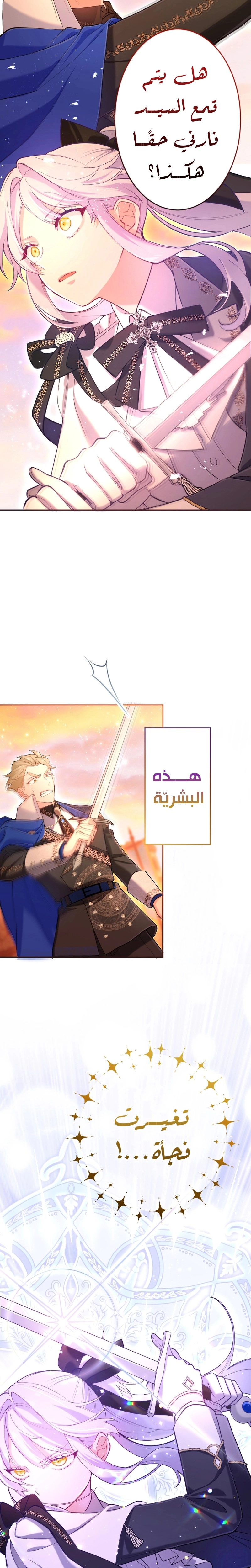 الصفحة 17