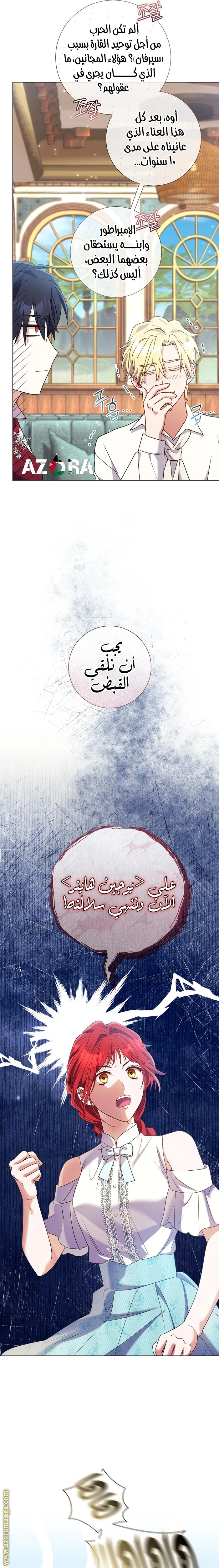 الصفحة 17