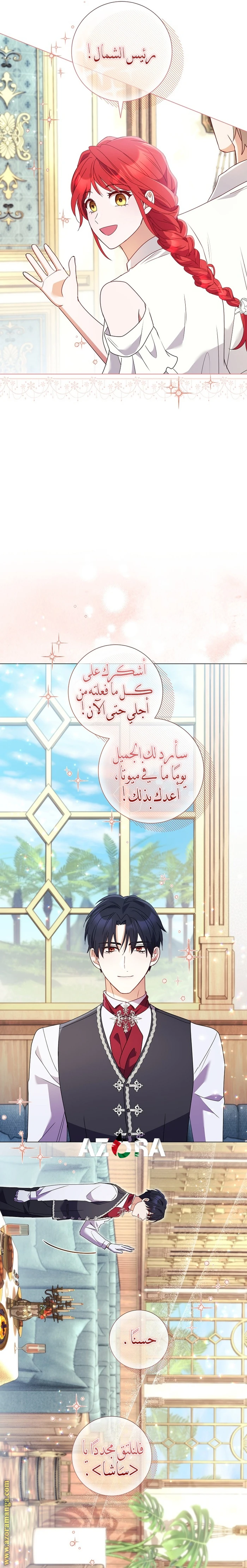 الصفحة 29