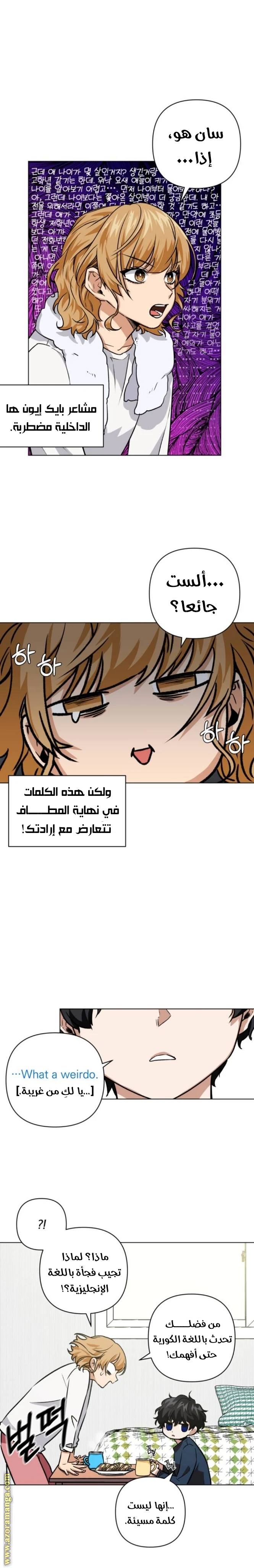 الصفحة 12